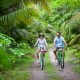 ladigue-boat-bike-tour