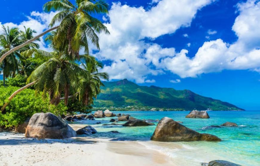 Splendid Seychelles Honeymoon Package