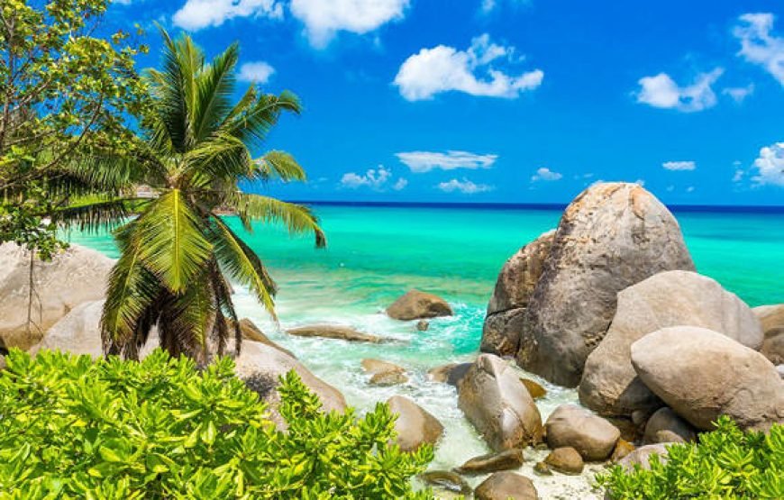 Mesmerising Seychelles Honeymoon package