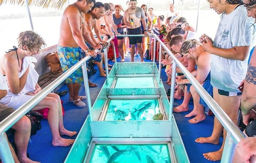 Glass Bottom Boat – Marine Park with BBQ Lunch