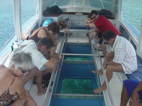 Day 5: Glass Bottom Boat - Reef Safari - Marine Park (Additional Cost)