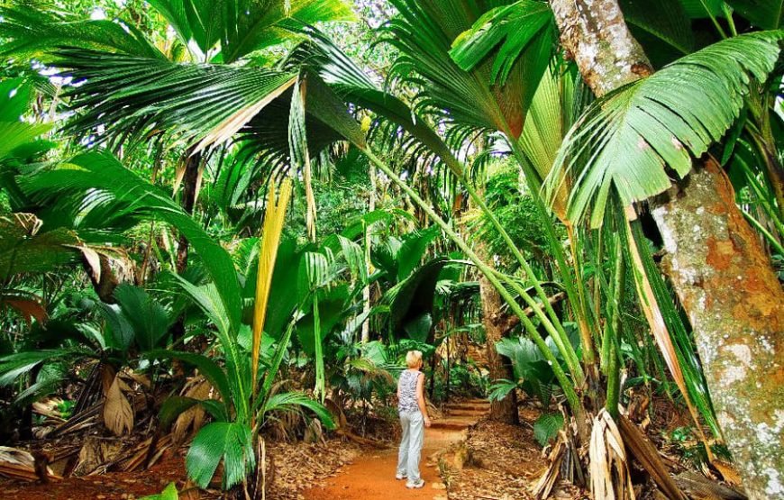 Valle De Mai and Anse Lazio