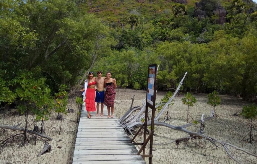 Boat tour to Curieuse, St Pierre, Coco, Felicite & BBQ